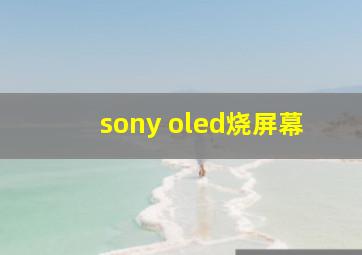 sony oled烧屏幕